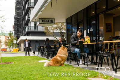 July 2021 / BOW_WOW_210713_779