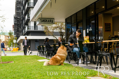 July 2021 / BOW_WOW_210713_780