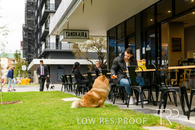 July 2021 / BOW_WOW_210713_781