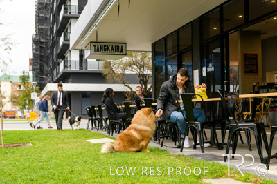 July 2021 / BOW_WOW_210713_782