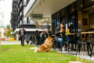 July 2021 / BOW_WOW_210713_785