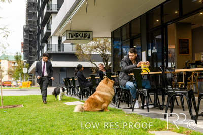 July 2021 / BOW_WOW_210713_786