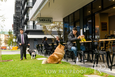 July 2021 / BOW_WOW_210713_787