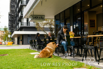 July 2021 / BOW_WOW_210713_788