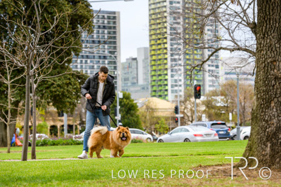 July 2021 / BOW_WOW_210713_790