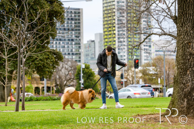 July 2021 / BOW_WOW_210713_791