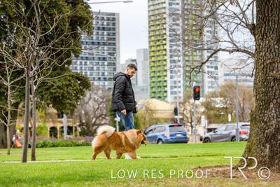 July 2021 / BOW_WOW_210713_795