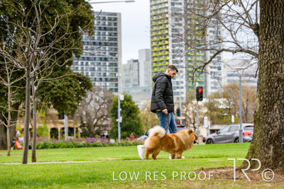 July 2021 / BOW_WOW_210713_796