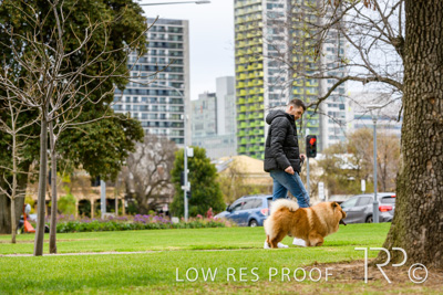 July 2021 / BOW_WOW_210713_797