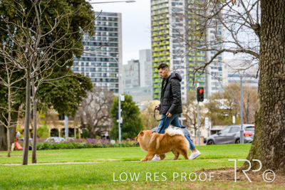 July 2021 / BOW_WOW_210713_800