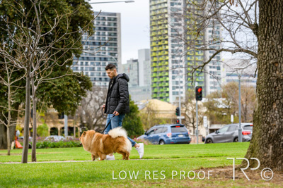 July 2021 / BOW_WOW_210713_801