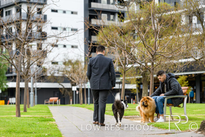 July 2021 / BOW_WOW_210713_823