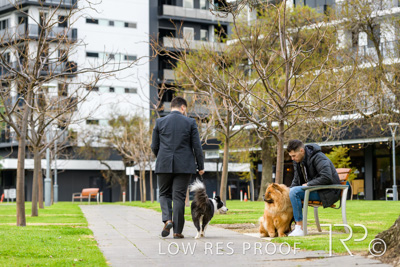 July 2021 / BOW_WOW_210713_824