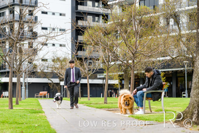 July 2021 / BOW_WOW_210713_829