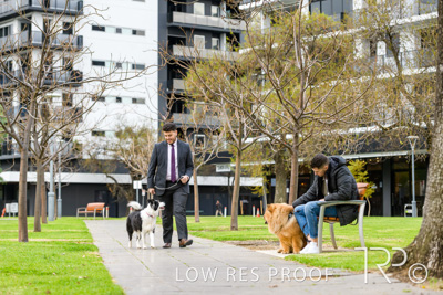 July 2021 / BOW_WOW_210713_830