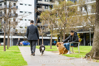 July 2021 / BOW_WOW_210713_835