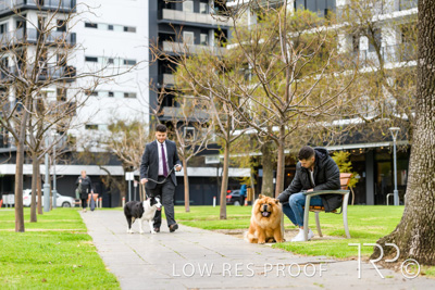 July 2021 / BOW_WOW_210713_838