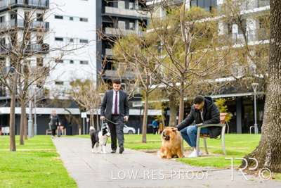 July 2021 / BOW_WOW_210713_840