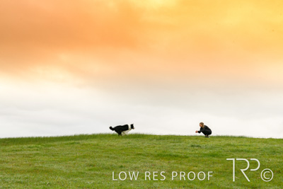 July 2021 / BOW_WOW_210713_039