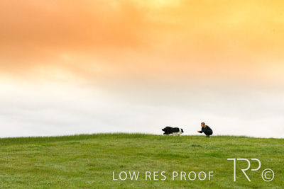 July 2021 / BOW_WOW_210713_040