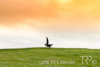 July 2021 / BOW_WOW_210713_043