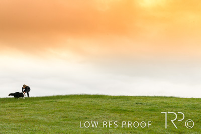 July 2021 / BOW_WOW_210713_045