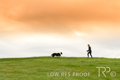 July 2021 / BOW_WOW_210713_048