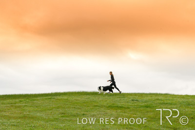 July 2021 / BOW_WOW_210713_049