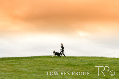 July 2021 / BOW_WOW_210713_050