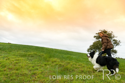 July 2021 / BOW_WOW_210713_065