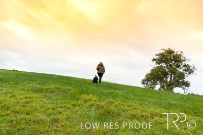 July 2021 / BOW_WOW_210713_072