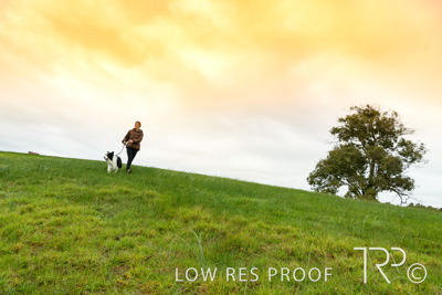 July 2021 / BOW_WOW_210713_073