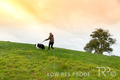 July 2021 / BOW_WOW_210713_080