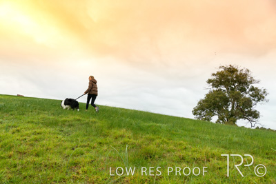 July 2021 / BOW_WOW_210713_081