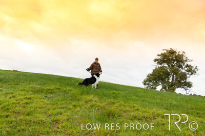 July 2021 / BOW_WOW_210713_087