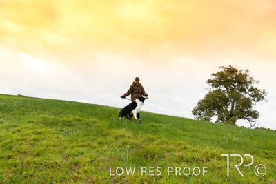 July 2021 / BOW_WOW_210713_088