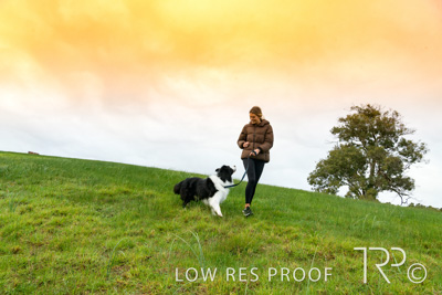 July 2021 / BOW_WOW_210713_096