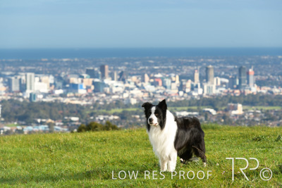 July 2021 / BOW_WOW_210713_106