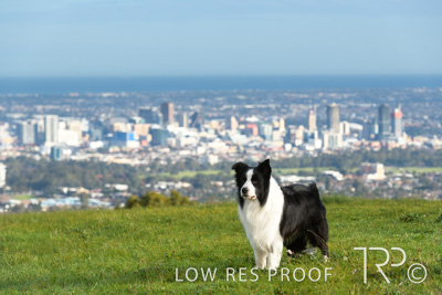 July 2021 / BOW_WOW_210713_109