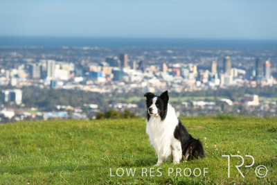 July 2021 / BOW_WOW_210713_110