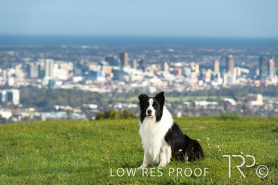 July 2021 / BOW_WOW_210713_112