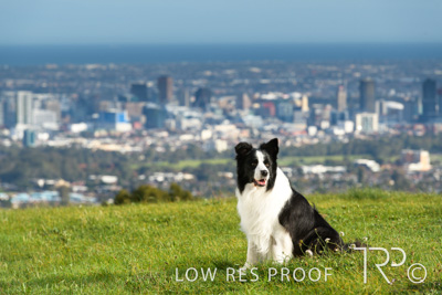 July 2021 / BOW_WOW_210713_115