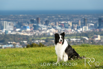 July 2021 / BOW_WOW_210713_116