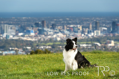 July 2021 / BOW_WOW_210713_117