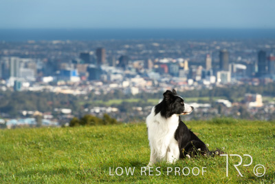 July 2021 / BOW_WOW_210713_118