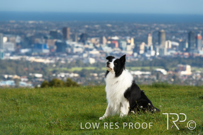 July 2021 / BOW_WOW_210713_123