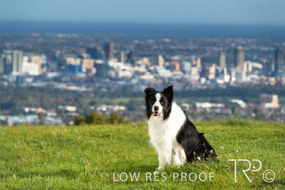 July 2021 / BOW_WOW_210713_126