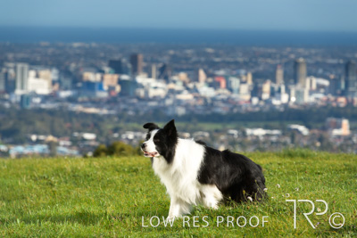 July 2021 / BOW_WOW_210713_128