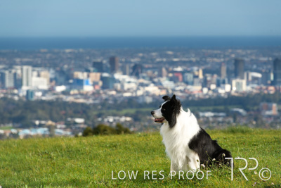 July 2021 / BOW_WOW_210713_130