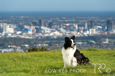 July 2021 / BOW_WOW_210713_133